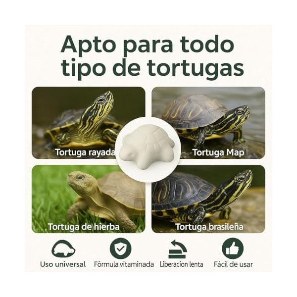 MOLY Lot de 15 comprimés de carbure de calcium dissoluble pour tortues deau | Renforce la carapace et neutralise le pH