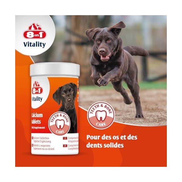8in1 Comprimés de Calcium – comme complément Alimentaire pour Tous Les Chiens, 1 boîte 155 comprimés Calcium