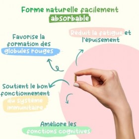 Double Fer : Bisglycinate + Végétal Arbre à Curry Bio - 60 Gélules Vegan 2 mois - Fatigue, Globules Rouges, Immunité, ave