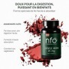 NFO GENTLE IRON [100 comprimés] Complexe de fer naturel norvégien à haute dose Avec la formule brevetée Ferrochel – la forme 