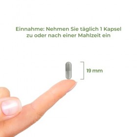 Fer Bisglycinate Chélate 90 Gélules Haute Biodisponibilité, Complexe de Vitamine C, Fer et Cuivre, Vegan, 90 jours, Vitality 