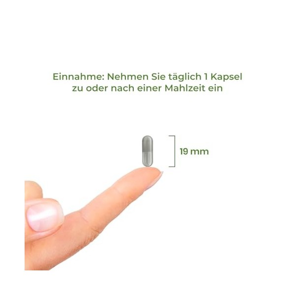 Fer Bisglycinate Chélate 90 Gélules Haute Biodisponibilité, Complexe de Vitamine C, Fer et Cuivre, Vegan, 90 jours, Vitality 