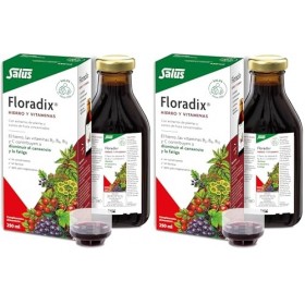 Salus Floradix® Fer + Plantes - Formule Liquide Anti-Fatigue Riche en Fer - Enrichi en Vitamine C pour une Bonne Absorption -