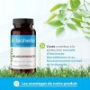 Iode Naturel – 100 Gélules de 400 mg | À base d’algues Fucus – par BIOHERBA