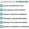 Thyroactine - | Bien-être thyroïdien | Soutien naturel de la fonction thyroïdienne | Énergie, métabolisme & équilibre hormona