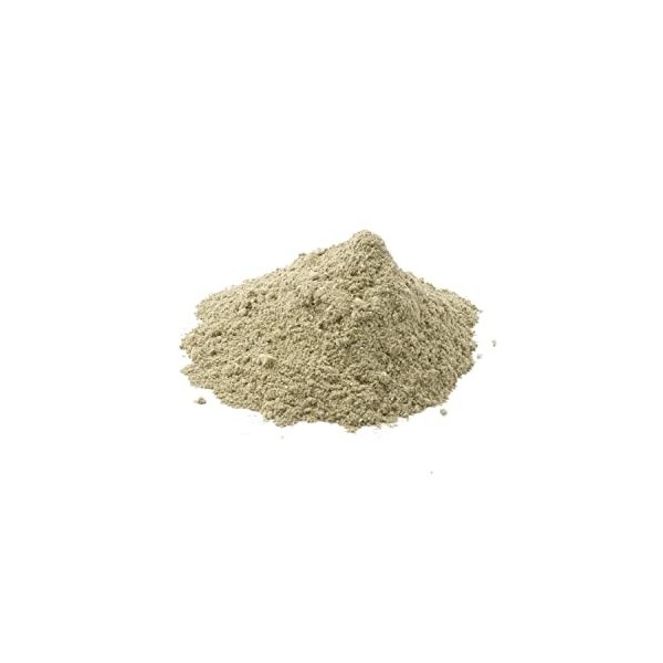 Algenladen Salicornia Poudre diode – 100 g | Teneur en iode finement ajustée | Facile à doser | Végétalien