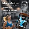 Magnésium Bisglycinate + Citrate, Malate et Taurate – Complexe de Magnésium 4 en 1 418 mg – 180 Comprimés 6 Mois – Haute 