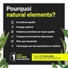 Magnesium L-Threonate Magtein® – 2000 mg de Magnésium par Dose Quotidienne – 90 Gélules pour 1 Mois – Soutient la Mémoire, 
