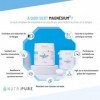 Nutripure | Magnésium³ Poudre | 3 types de Magnésium: Bisglycinate, Citrate, Glycérophosphate | Stress & Fatigue | Fortement 