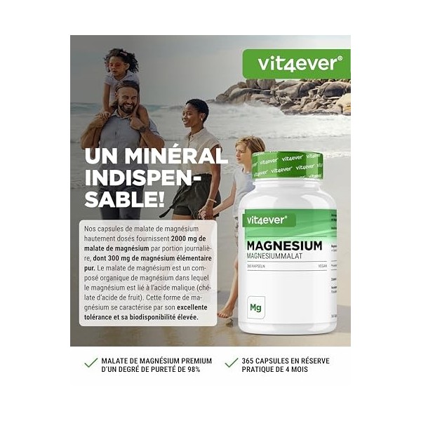 Malate de magnésium - 365 gélules - 2000 mg dont 300 mg élémentaire par portion journalière - 4 mois dapprovisionnement - Ma