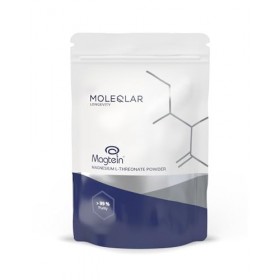 MoleQlar Magnésium L-Thréonate Magtein® poudre 120 g – Approuvé EFSA, 150 mg/portion, haute biodisponibilité, 60 jours Magnésium