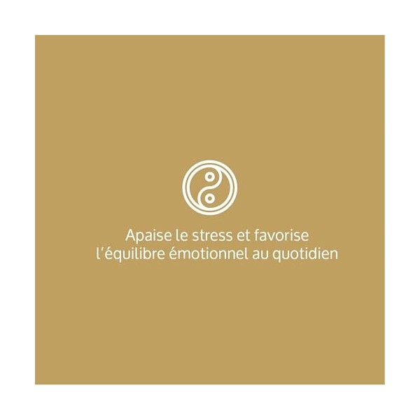 Phytocea Stress & Anxiété – Complément Alimentaire Relaxation | Magnésium Glycérophosphate + Pidolate, Vitamine B6 | Anti-Str