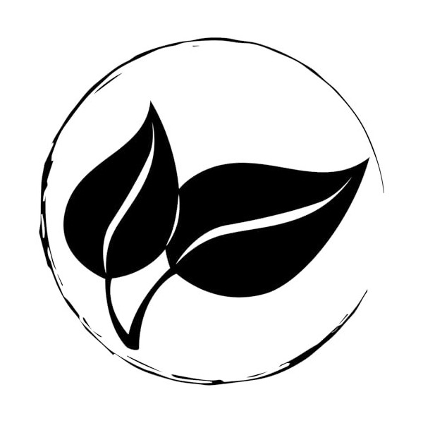 Magnésium L-Thréonate Capsules – 120 Capsules – Forme Avancée de Magnésium – Haute Qualité – Usage Quotidien – Analysé en All