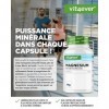Magnésium à haute dose - 365 gélules réserve annuelle - 667 mg dont 400 mg de magnésium élémentaire par dose journalière à 