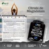 Magnésium Citrate 1480mg - 240 Capsules Végétaliennes - Fournissant 444mg de Magnésium Élémentaire - Cure de 4 Mois - Complém
