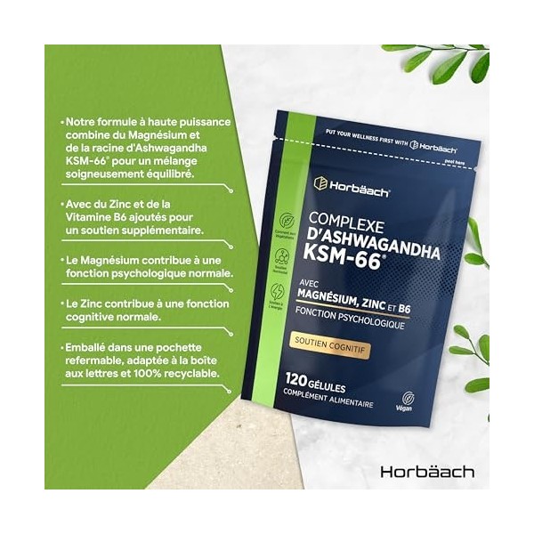 Magnésium et Ashwagandha KMS-66 | 120 Gélules Vegan | Complément Alimentaire Avec Ashwagandha Zinc Magnesium | Vitamine B6 | 