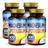 Magnésium et Potassium 1200 comprimés - Citrate de magnésium et de potassium - Contre la fatigue et lépuisement physique, la ...