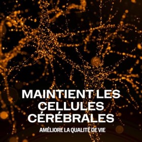 Vimergy Brain Body Memory* – 8 actions ciblées pour le cerveau – Avec magnésium, citicoline et B12 – Formule pure et à absorp