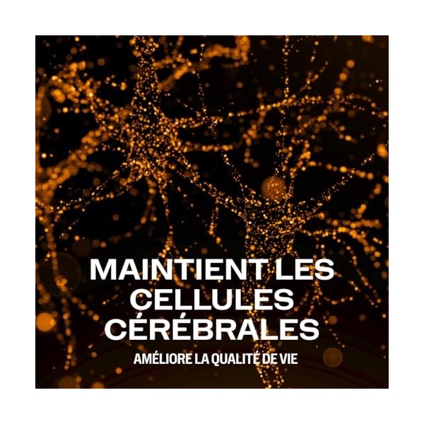 Vimergy Brain Body Memory* – 8 actions ciblées pour le cerveau – Avec magnésium, citicoline et B12 – Formule pure et à absorp