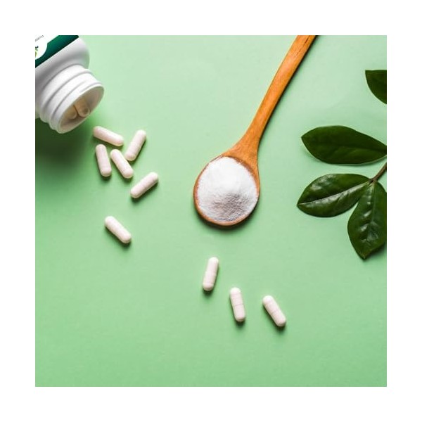 Bisglycinate de magnésium|300 mg de magnésium pur à haute biodisponibilité/jour| 240 gélules végétaliennes | Fatigue et fatig