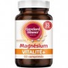 GAYELORD HAUSER – Magnésium comprimés Vitalité + – Réduction de la Fatigue et Soutien du Système Nerveux – Cure de 30 Jours –