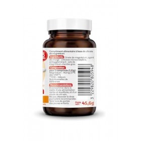 GAYELORD HAUSER – Magnésium comprimés Vitalité + – Réduction de la Fatigue et Soutien du Système Nerveux – Cure de 30 Jours –