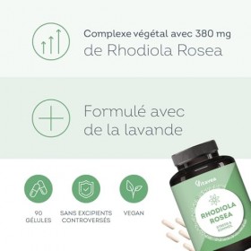 Rhodiola Rosea 1520 mg Extrait 4:1 - Avec Lavande - Anti-Stress, Fatigue, Humeur & Équilibre Mental – 90 Gélules - Vegan - 