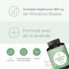 Rhodiola Rosea 1520 mg Extrait 4:1 - Avec Lavande - Anti-Stress, Fatigue, Humeur & Équilibre Mental – 90 Gélules - Vegan - 