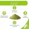Oligo Mg+ - Combat Efficacement la Fatigue - Magnésium, Chlorella et Vitamines - Contribue à Réduire le Stress et Booste la V