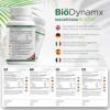 BioDynamx Magnesium Bisglycinate 3 en 1 Glycinate - Malate Citrate B6 375 mg | 90 Capsules Végétaliennes 30 Portions Foncti M...