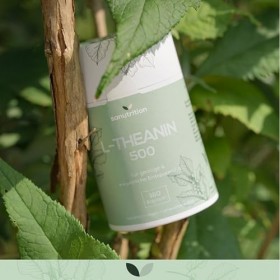 L-théanine avec magnésium | 500 mg par capsule | 180 gélules | Hautement dosé | Relaxation pour lesprit et le corps | Emball