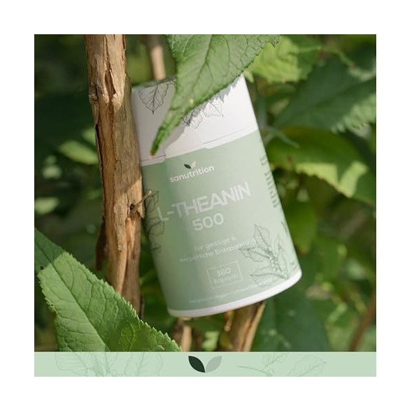 L-théanine avec magnésium | 500 mg par capsule | 180 gélules | Hautement dosé | Relaxation pour lesprit et le corps | Emball