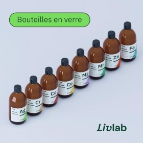 Magnésium Oligo-Élément - Livlab - 500 ml - Flacon Verre, Solution Ionique Stabilisée, Eau Déminéralisée, Sans Additifs
