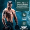 Turkestérones | Dose quotidienne de 1000 mg | 120 gélules dosage élevé | extrait 20:1 | Turkestérone naturelle issue de le