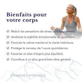 Ashwagandha et Omega 3 - Gestion de la vitalité, 2 suppléments en 1 paquet pour la santé et le bien-être | 28 Sachets Quotidi