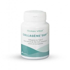 Phyto Sud CollagèneSup - Gélules de Collagene Marin Type 2 avec Vitamine C et Thé Vert - Antixoydant Naturel - Collagène Mar