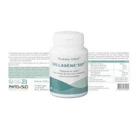 Phyto Sud CollagèneSup - Gélules de Collagene Marin Type 2 avec Vitamine C et Thé Vert - Antixoydant Naturel - Collagène Mar