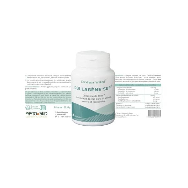 Phyto Sud CollagèneSup - Gélules de Collagene Marin Type 2 avec Vitamine C et Thé Vert - Antixoydant Naturel - Collagène Mar
