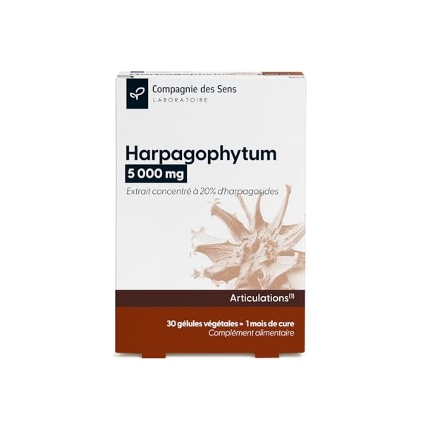 Harpagophytum 5 000 mg – Haute teneur en harpagosides – 1 mois de cure intensive Multi-minéraux
