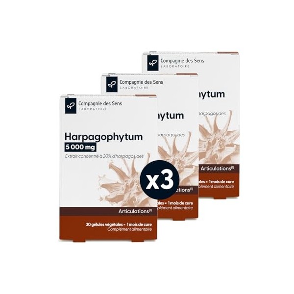 Harpagophytum 5 000 mg – Haute teneur en harpagosides – 1 mois de cure intensive Multi-minéraux