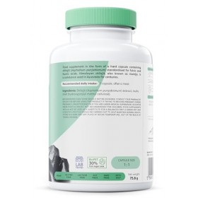 Osavi Shilajit 500 mg | Mumijo de l’Himalaya avec 60 % d’acides fulviques & 12 % d’acides humiques – Adaptogène naturel du Né