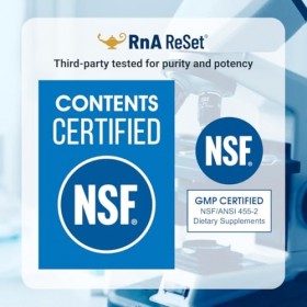 RnA ReSet - ReMyte solution minérale, Multiminéral liquide, Solution électrolytique, composée de 12 minéraux, de la Dr. Carol