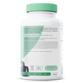 Osavi Shilajit 500 mg | Mumijo de l’Himalaya avec 60 % d’acides fulviques & 12 % d’acides humiques – Adaptogène naturel du Né