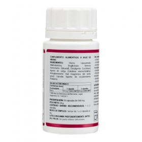 Holomega Fer liposomé Equisalud 50 capsules