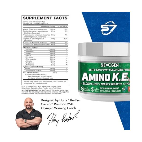 Evogen Amino K.E.M. EAA, Raspberry Lemonade - 480g