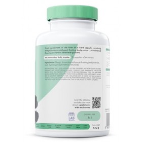 Osavi Chaga 1000 mg – 120 Gélules Véganes | Extrait de chaga standardisé Inonotus obliquus | 40% polysaccharides & 30% bêta