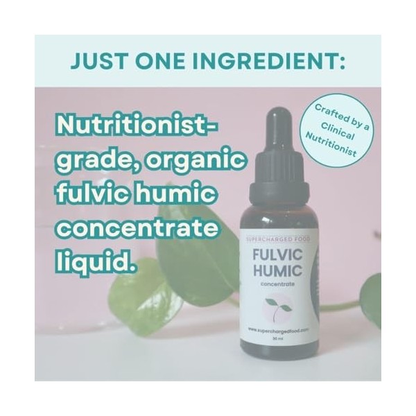 Lee Holmes Love Your Gut Fulvic Concentré humique – Santé intestinale et absorption des nutriments – Aliments surchargés 60 