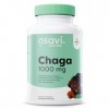 Osavi Chaga 1000 mg – 60 Gélules Véganes | Extrait de chaga standardisé Inonotus obliquus | 40% polysaccharides & 30% bêta-