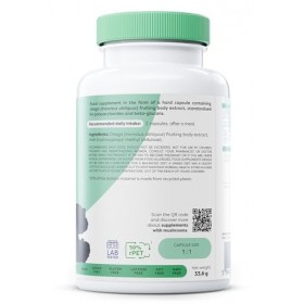 Osavi Chaga 1000 mg – 60 Gélules Véganes | Extrait de chaga standardisé Inonotus obliquus | 40% polysaccharides & 30% bêta-
