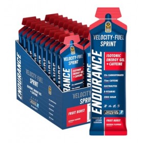 Applied Nutrition Endurance Sprint Isotonic Energy Gel + Caffeine, Fruit Burst - 20 x 60g